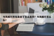 今天限行开车出去了怎么处罚？今天限行怎么办？