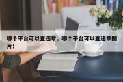 哪个平台可以查违章，哪个平台可以查违章图片！