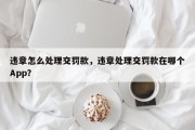 违章怎么处理交罚款，违章处理交罚款在哪个App？