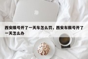 西安限号开了一天车怎么罚，西安车限号开了一天怎么办