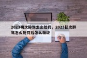 2023初次醉驾怎么处罚，2023初次醉驾怎么处罚后怎么领证