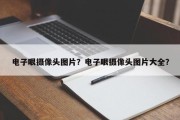 电子眼摄像头图片？电子眼摄像头图片大全？