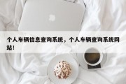 个人车辆信息查询系统，个人车辆查询系统网站！