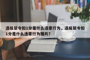 违反禁令扣1分是什么违章行为，违反禁令扣1分是什么违章行为图片？