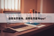 违章处罚查询，违章处罚查询app？