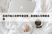 在线只输入车牌号查违章，直接输入车牌查违章