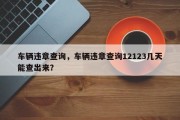 车辆违章查询，车辆违章查询12123几天能查出来？