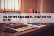 违反车辆限号怎么处罚规定，违反汽车限号怎样处罚？