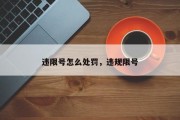 违限号怎么处罚，违规限号