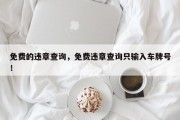 免费的违章查询，免费违章查询只输入车牌号！