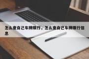 怎么查自己车牌限行，怎么查自己车牌限行信息